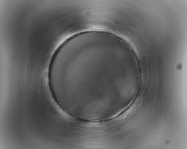 X0000102361422200808151803