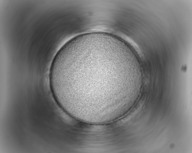 X0000102361423200808151803