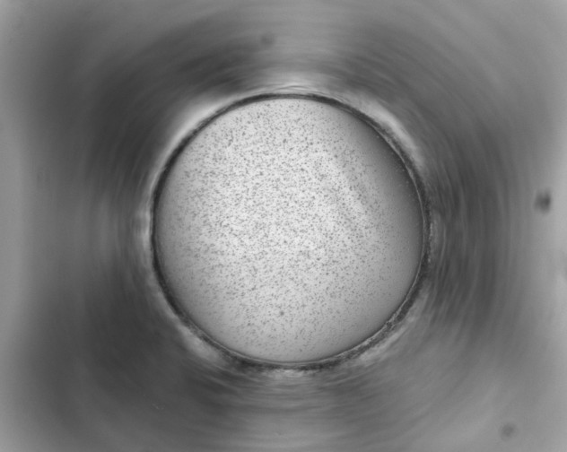 X0000102361424200808151803