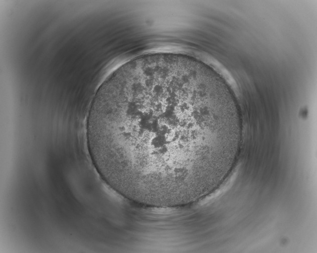 X0000102361425200808151803