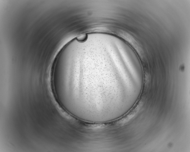 X0000102361426200808151803