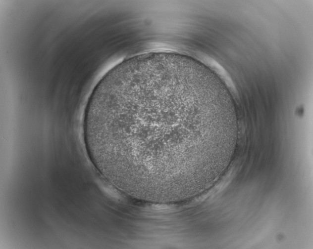 X0000102361427200808151803