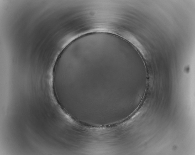 X0000102361428200808151803