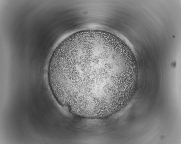 X0000102361429200808151803