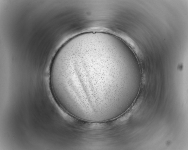 X0000102361430200808151803