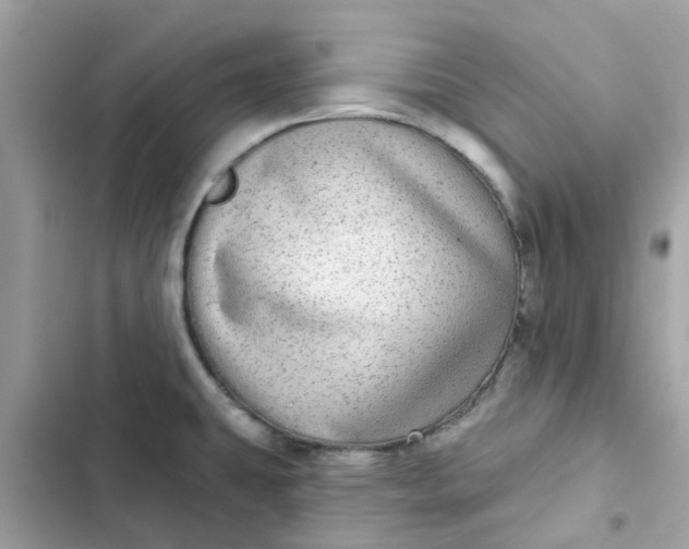 X0000102361431200808151803