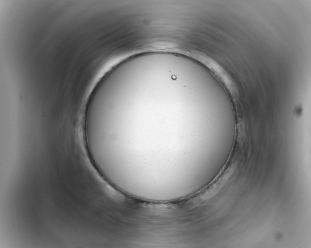 X0000102361432200808151803