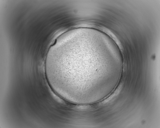 X0000102361433200808151803