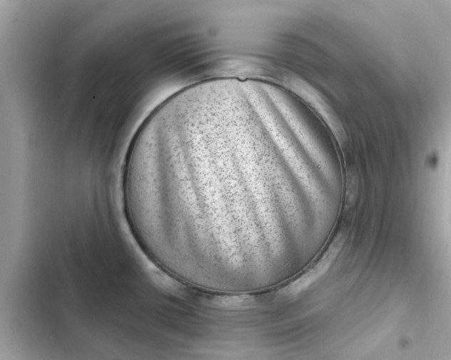 X0000102361434200808151803