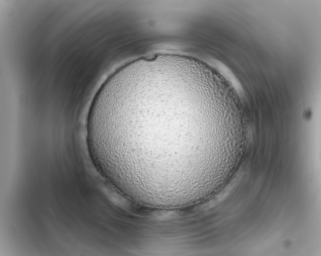 X0000102361435200808151803