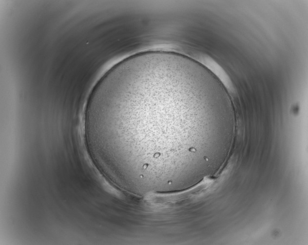 X0000102361436200808151803