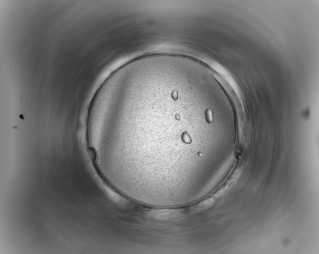 X0000102361437200808151803