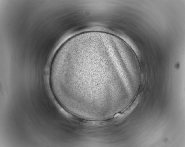 X0000102361438200808151803