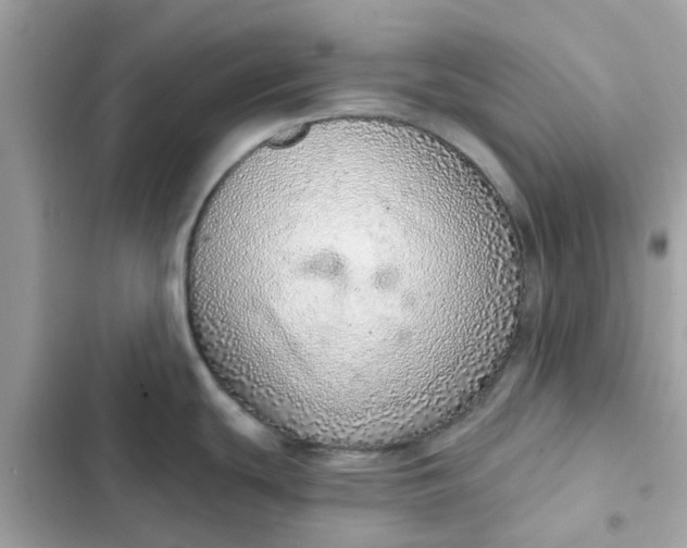 X0000102361439200808151803