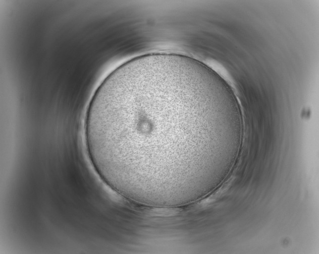 X0000102361440200808151803