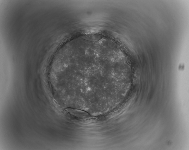 X0000102361441200808151803