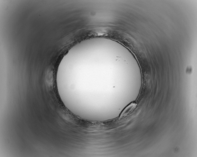 X0000102361442200808151803