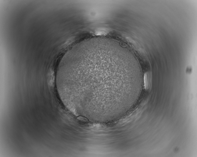 X0000102361443200808151802