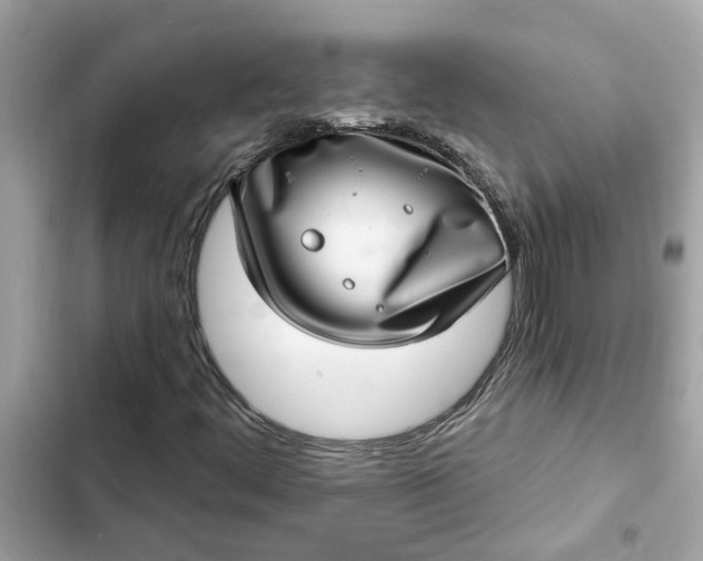 X0000102361444200808151802