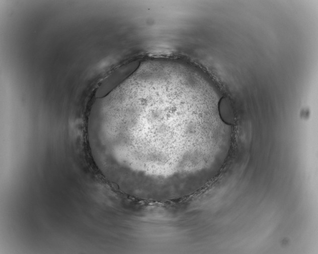 X0000102361445200808151802