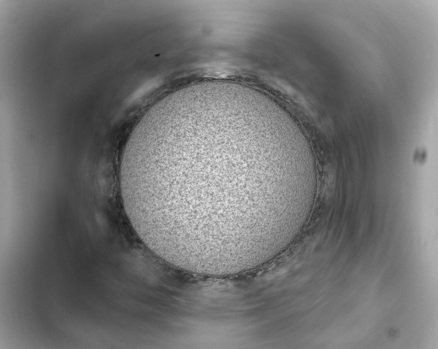 X0000102361446200808151802