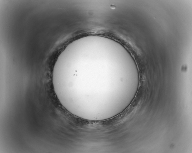 X0000102361447200808151802