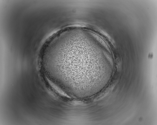 X0000102361448200808151802