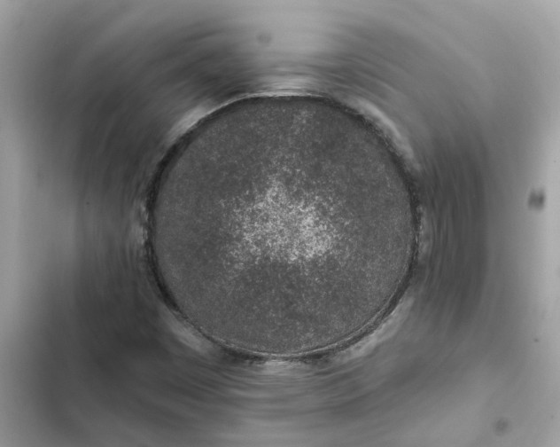 X0000102361449200808151802