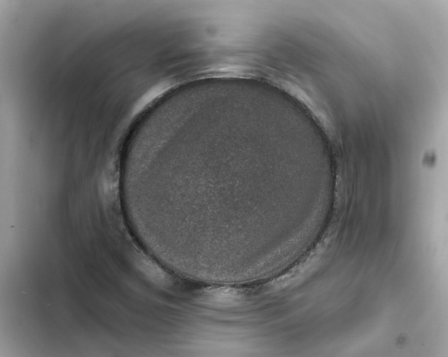 X0000102361450200808151802