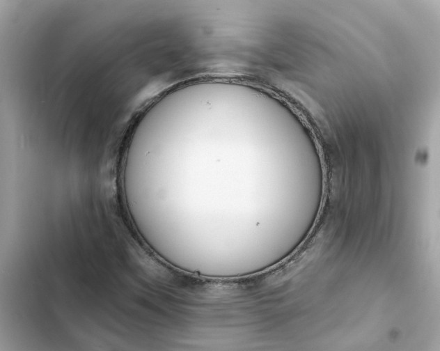 X0000102361451200808151802