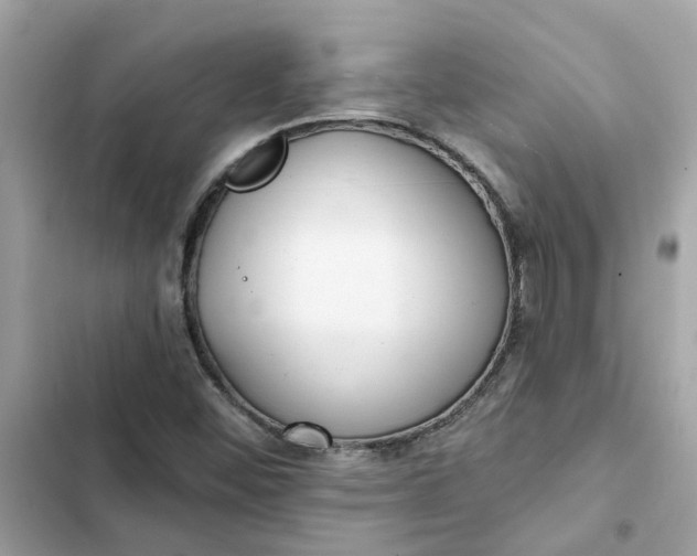 X0000102361452200808151802