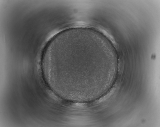 X0000102361453200808151802