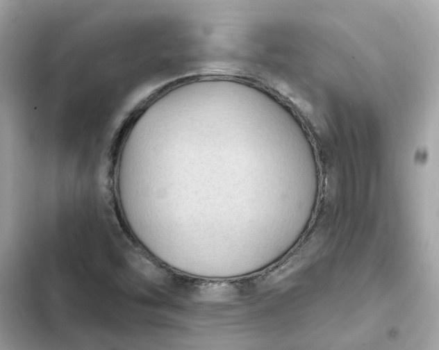 X0000102361454200808151802