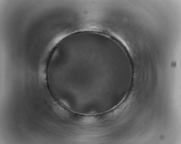 X0000102361455200808151802