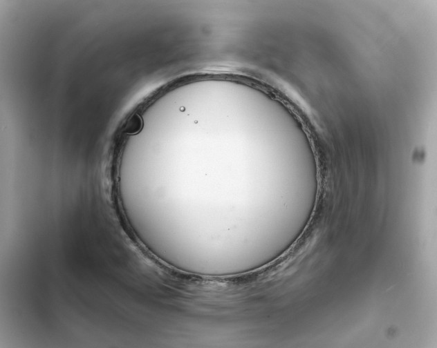 X0000102361456200808151802