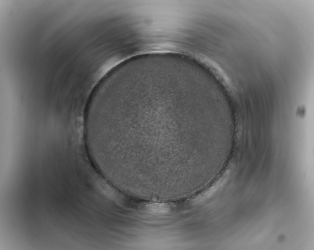 X0000102361457200808151802