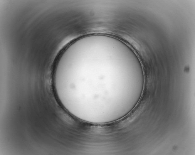 X0000102361458200808151802