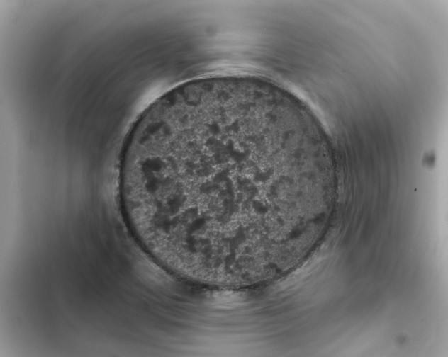 X0000102361459200808151802