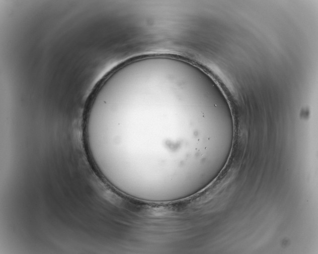 X0000102361460200808151802