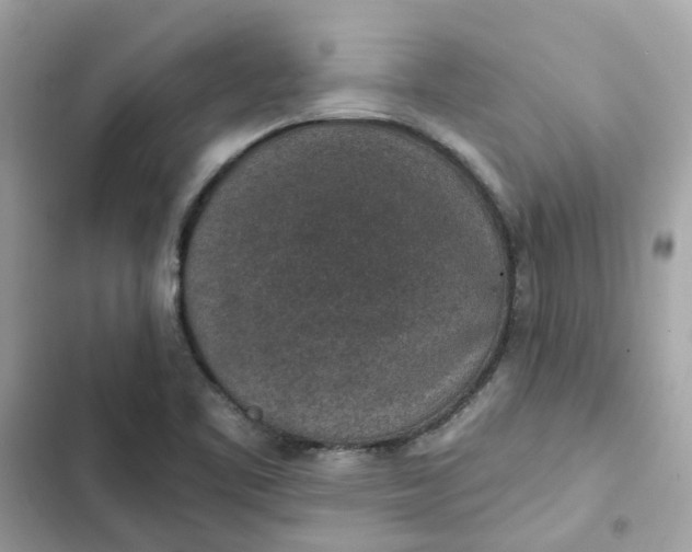 X0000102361461200808151802