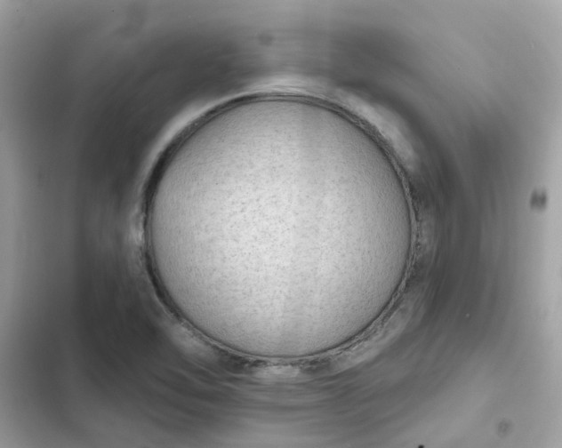 X0000102361462200808151802