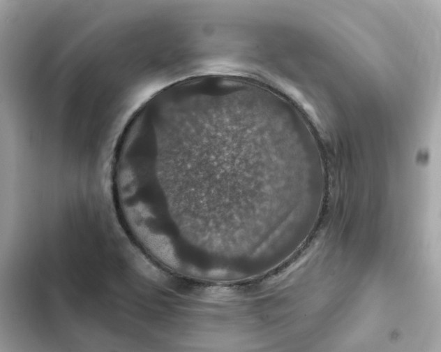 X0000102361463200808151802