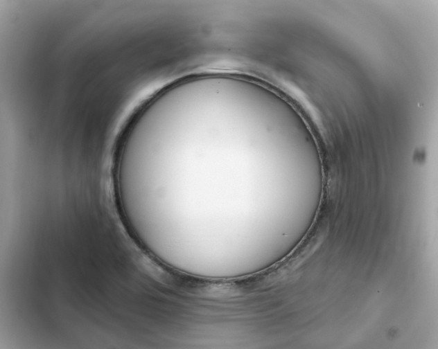 X0000102361464200808151802