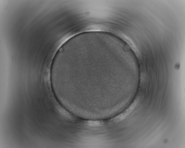 X0000102361465200808151802