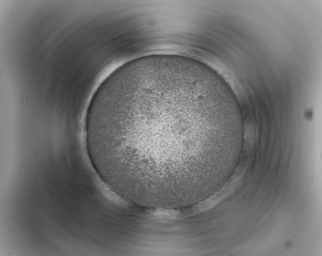 X0000102361466200808151802