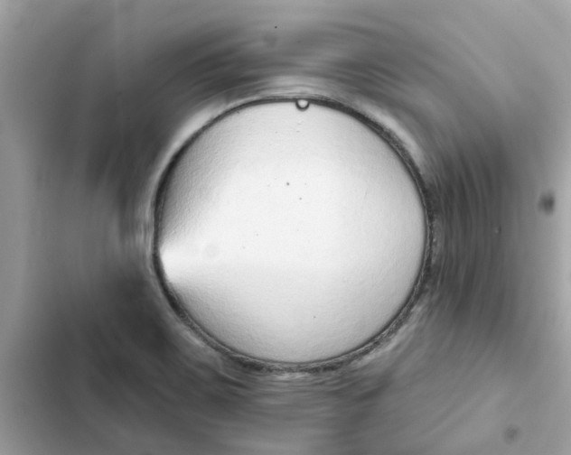 X0000102361467200808151802