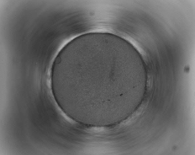 X0000102361468200808151802