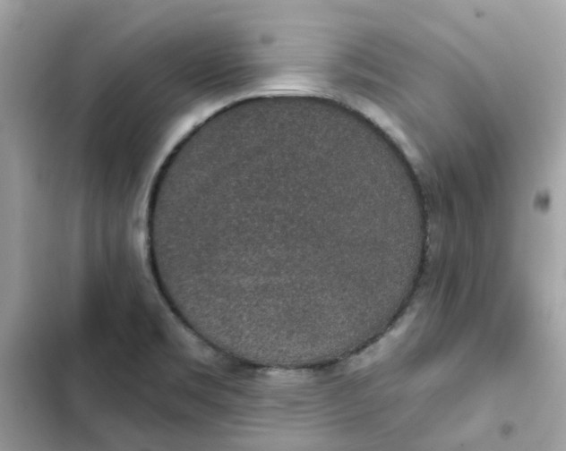 X0000102361469200808151802