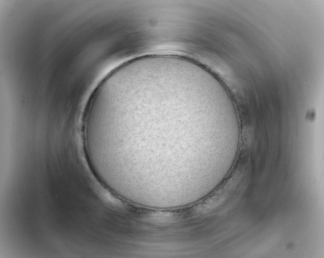 X0000102361470200808151802