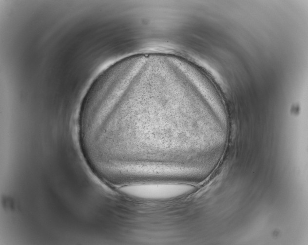 X0000102361471200808151802